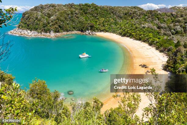 new zealand - abel tasman national park stock pictures, royalty-free photos & images