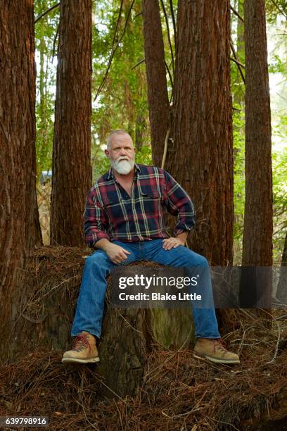 man in forest sitting on stump - plaid shirt stock pictures, royalty-free photos & images