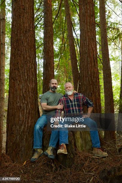 male couple in forest sitting on stump - waldarbeiter stock-fotos und bilder
