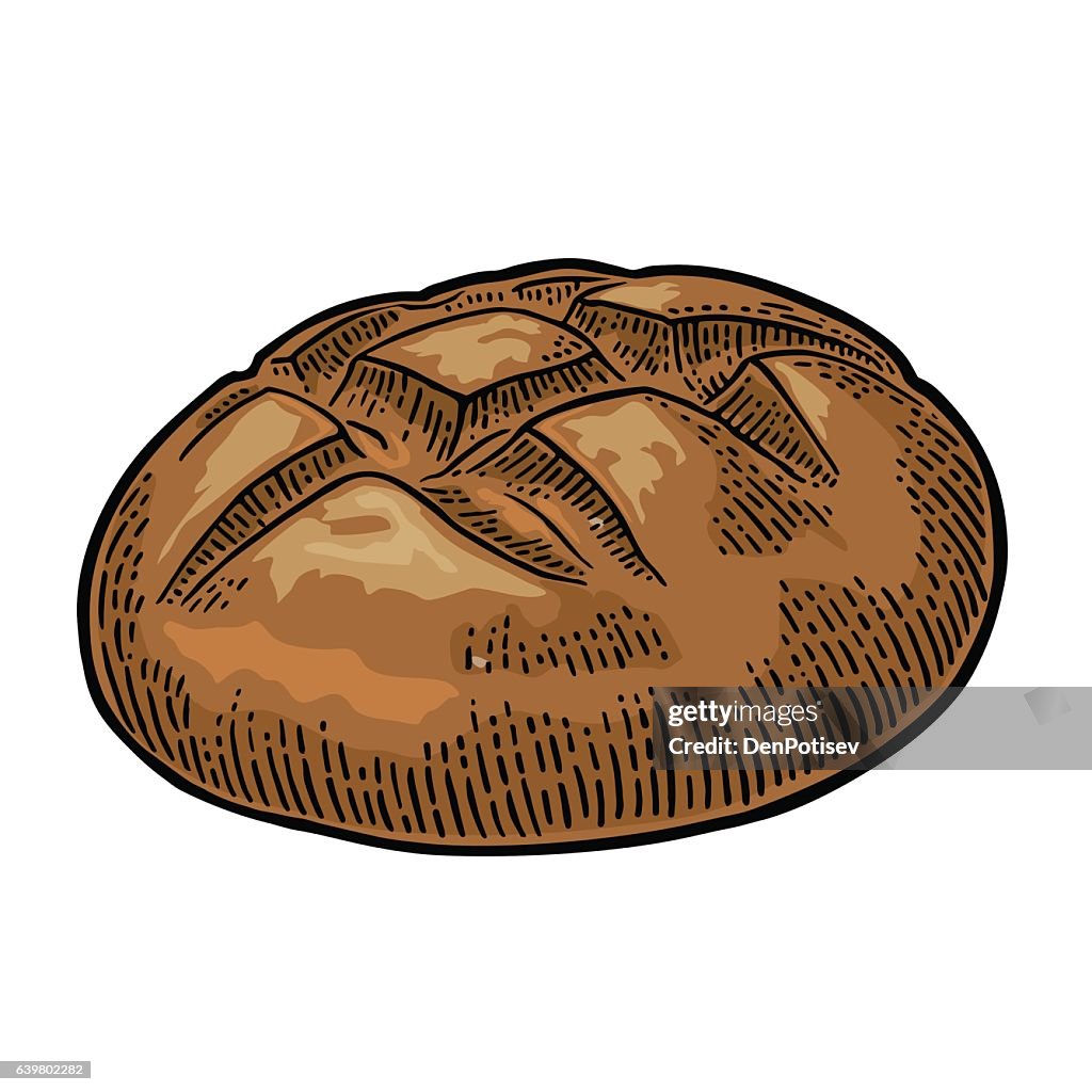 Vector Bread Color Loaf Of Bread Vector Color Hand Drawn Vintage Engraving High-Res Vector ...