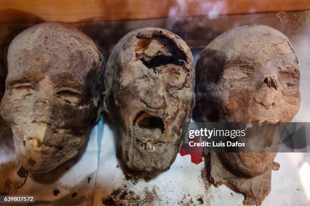 mummified heads of christian coptic martyrs - momie photos et images de collection