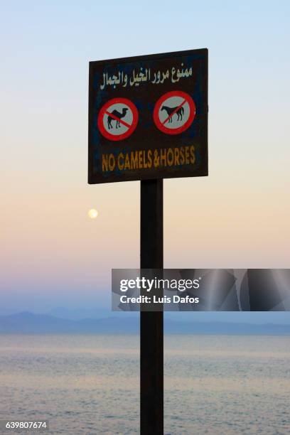 funny signpost at the resort town of dahab in the sinai peninsula - tourism in south sinai stock pictures, royalty-free photos & images