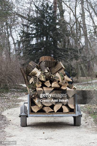 Car with pile of firewood