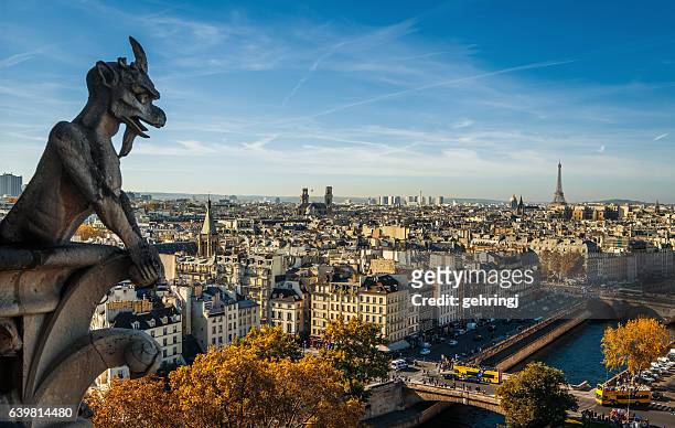 paris, wide city view from the roof of notre dame - notre dame de paris stock pictures, royalty-free photos & images