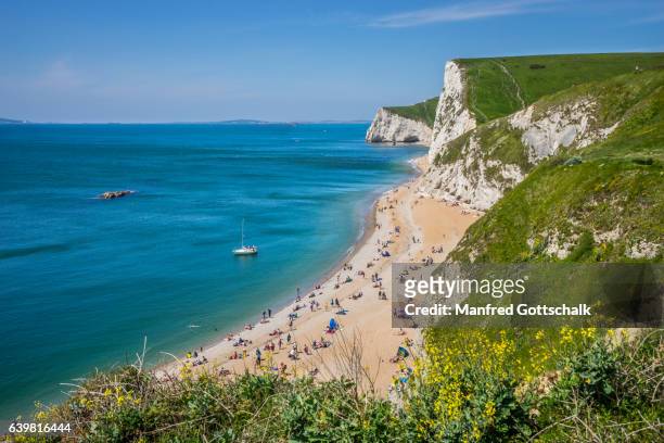 jurassic coast at durdle door beach - dorset uk stock pictures, royalty-free photos & images