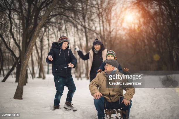 having fun outdoors - multi generation family winter stock pictures, royalty-free photos & images