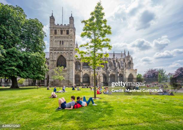 exeter cathedral - exeter cathedral stock pictures, royalty-free photos & images
