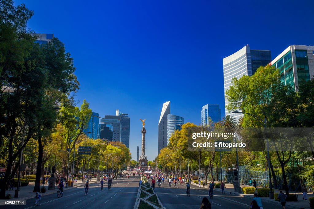 Reforma avenue Skyline in Mexico city
