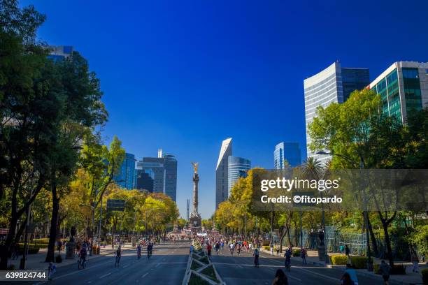 reforma avenue skyline in mexico city - cidade do méxico imagens e fotografias de stock