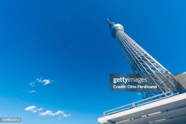tokyo sky tree tower - tokyo skytree - fotografias e filmes do acervo