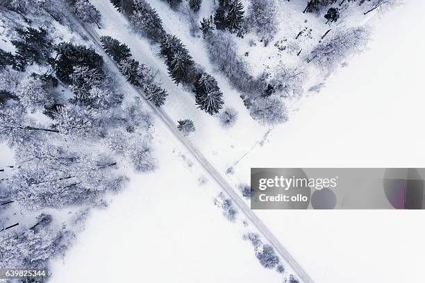 forêt hivernale - vue aérienne - route sapin neige photos et images de collection
