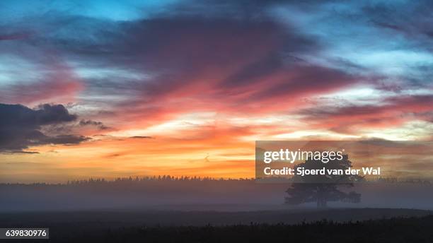 bunter wintersonnenuntergang über den ebenen in der natur - sjoerd van der wal stock-fotos und bilder