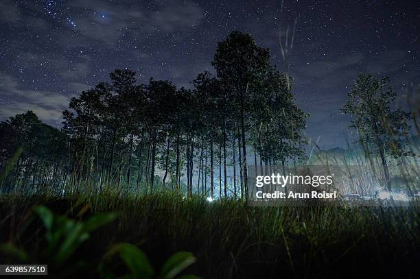 night photgraphy of camping and stars at thung salaeng luang national park (nong mae na), thailand - night picnic stock-fotos und bilder