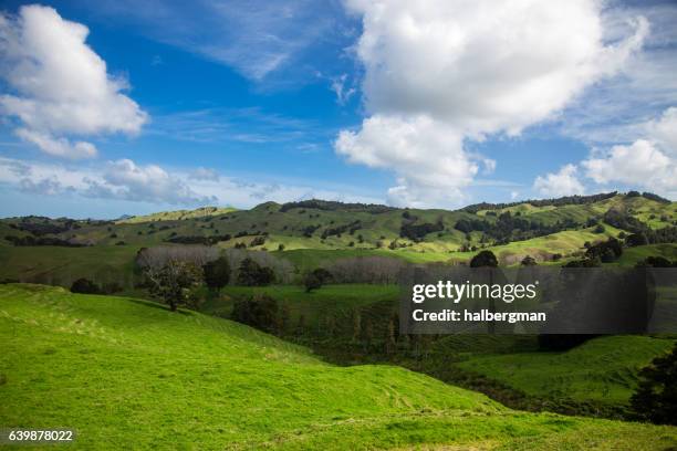 beautiful rolling landscape in new zealand - região de northland imagens e fotografias de stock
