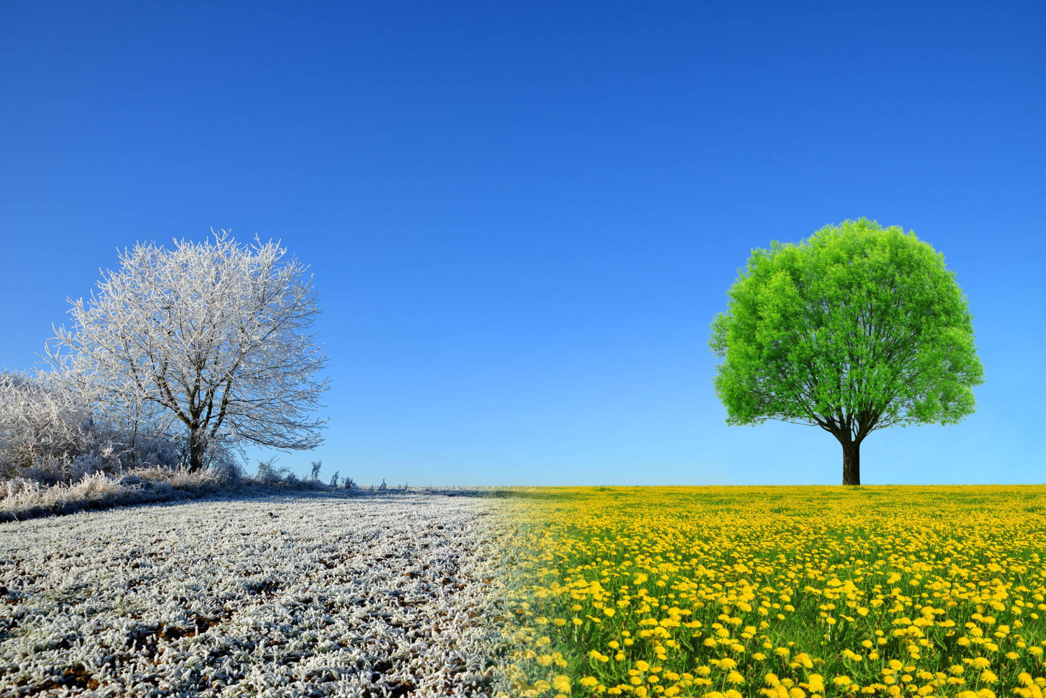 Winter and spring landscape with blue sky. Winter and spring landscape with blue sky.
