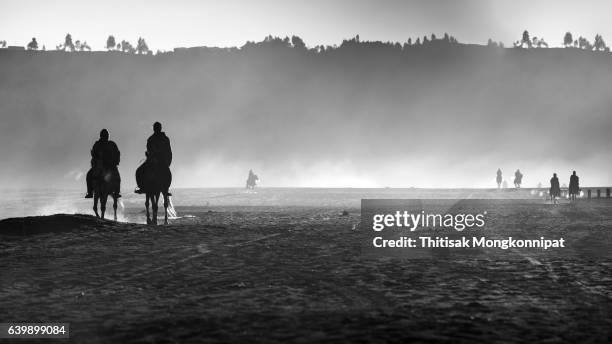 silhouette of horseman - bromo horse stock pictures, royalty-free photos & images