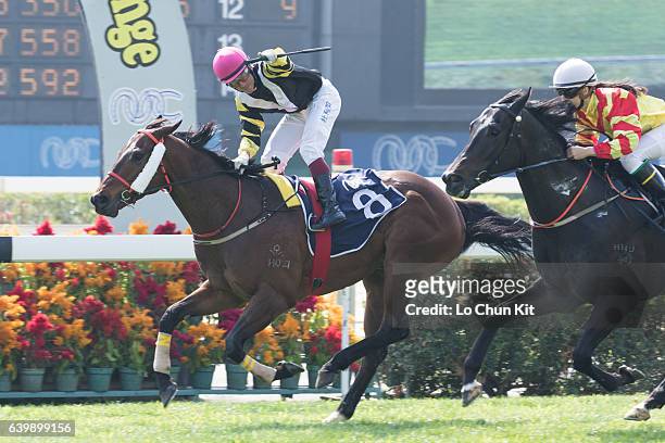 Jockey Olivier Doleuze riding Chok King wins the Race 1 Paradise Entertainment Race at the Taipa Racecourse on January 21, 2017 in Macau, Macau.
