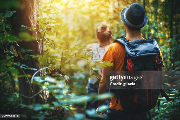 hiking through a forest. - back detail stock pictures, royalty-free photos & images