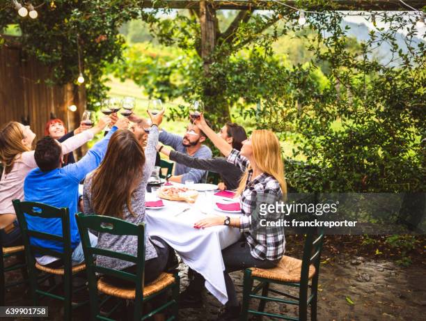 amigos brindando con vino tinto en el almuerzo - friends sharing mediterranean fotografías e imágenes de stock