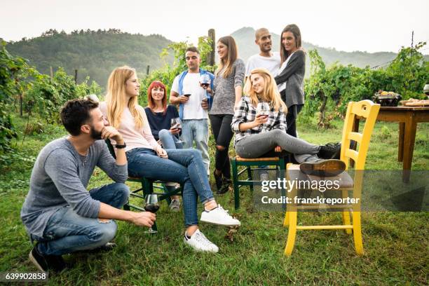 freunde toasten mit rotwein nach der ernte - picknick edel stock-fotos und bilder