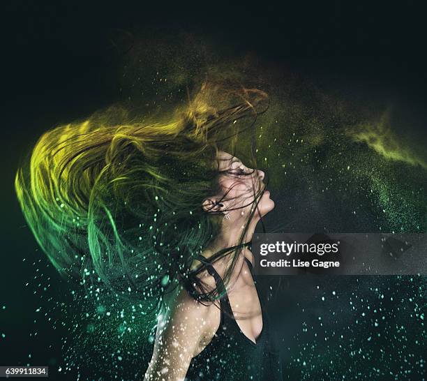 holi powder in hair - lise gagne stock pictures, royalty-free photos & images