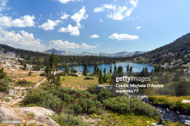 sunshine above lakes surrounded by subalpine coniferous forests - john muir trail stock pictures, royalty-free photos & images