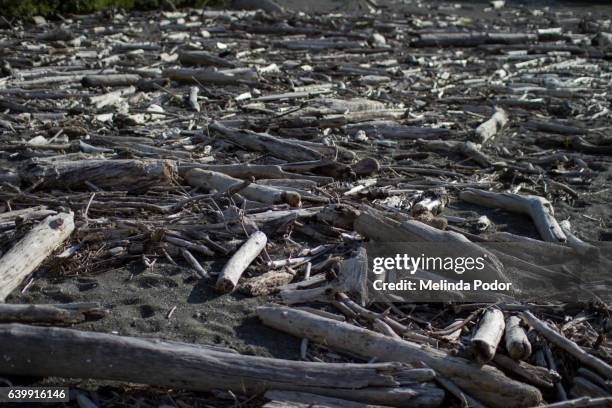 driftwood at klamath beach, ca - klamath basin stock pictures, royalty-free photos & images