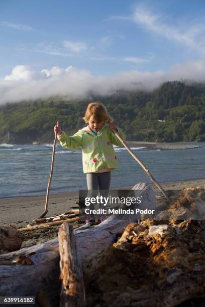 little girl playing with driftwood at klamath beach, ca - klamath basin stock pictures, royalty-free photos & images
