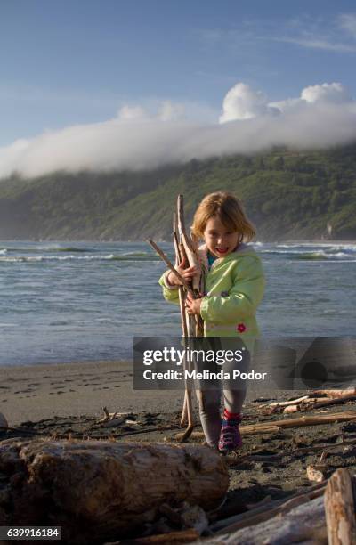 little girl playing with driftwood at klamath beach, ca - klamath basin stock pictures, royalty-free photos & images