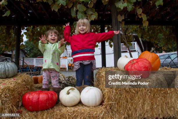 two little girls posing with pumpkins - placerville-california photos et images de collection