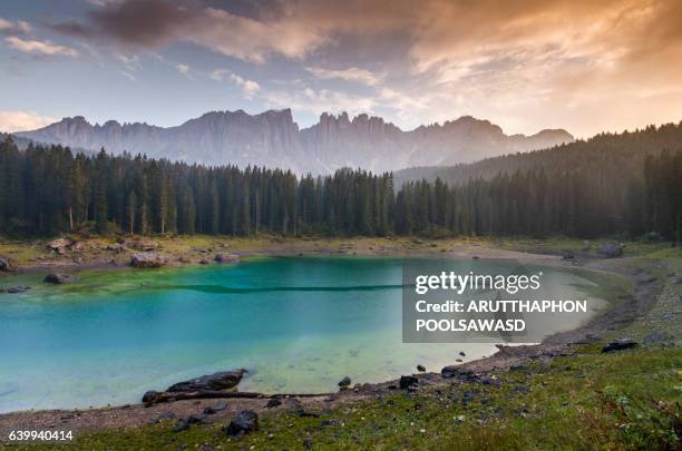 lake with mountain forest landscape, italy , alps - adige stock pictures, royalty-free photos & images