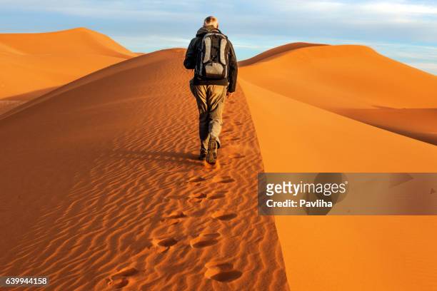 turistas masculino andar sobre as dunas de areia, de manhã, mhamid, marrocos - zagora imagens e fotografias de stock