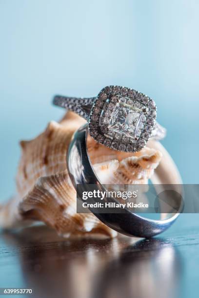 expensive wedding rings amongst seashells - bride underwater stock pictures, royalty-free photos & images