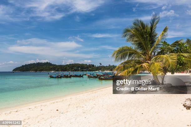 stunning pattaya beach in the koh lipe island  in south thailand - pattaya stock pictures, royalty-free photos & images