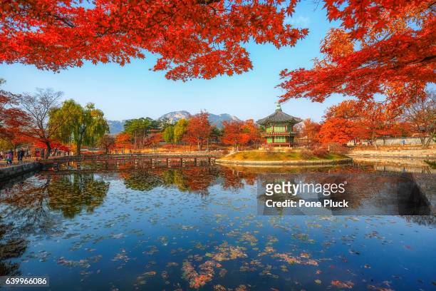 gyeonbokgung palace in autumn,south korea - südkorea stock-fotos und bilder