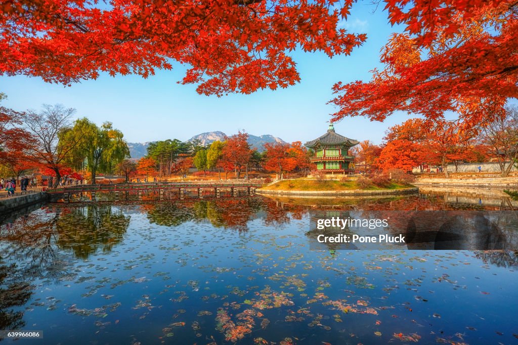 Gyeonbokgung Palace in autumn,South Korea