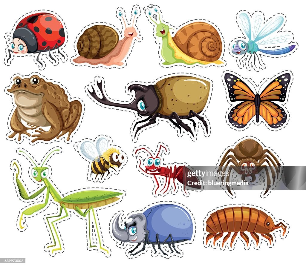 So Many Insects Sticker Set Of Many Insects High-Res Vector Graphic - Getty Images