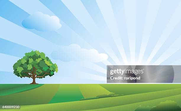 idyllische landschaft - hangtag stock-grafiken, -clipart, -cartoons und -symbole