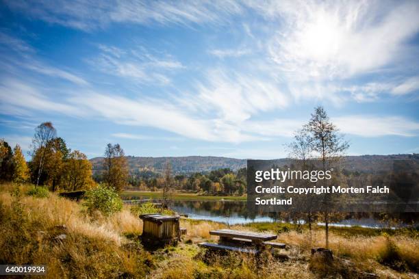 picnic spot - østfold stock pictures, royalty-free photos & images