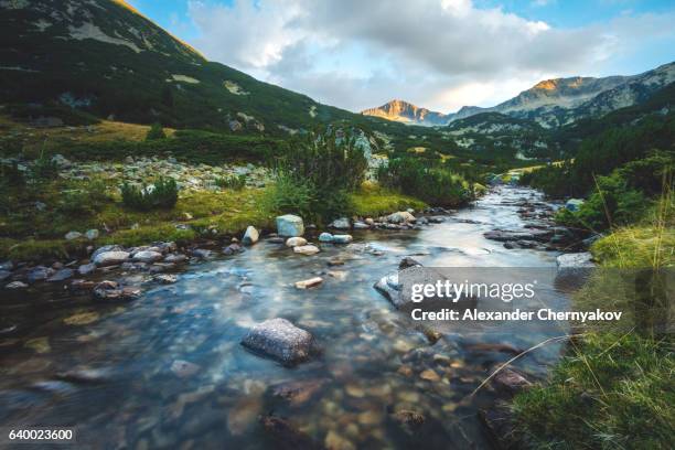 beautiful landscape. stream in mountains. - pirin mountains stock pictures, royalty-free photos & images