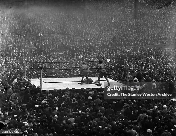 Jack McAuliffe is knocked out by Luis Firpo in the 3rd round at Yankee Stadium, New York, New York on May 12, 1923. Photo shows McAuliffe knocked out...