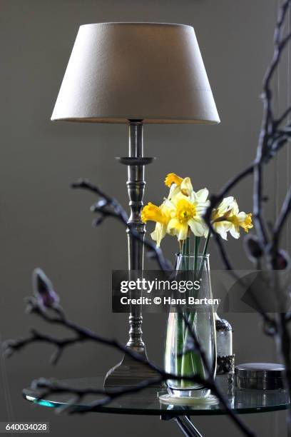 bunch of daffodils in the living room - hans barten stockfoto's en -beelden