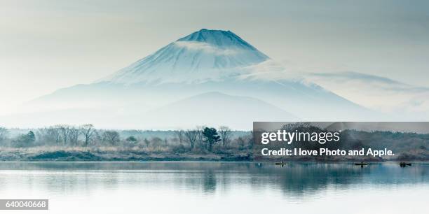 spring haze - ink wash painting stock pictures, royalty-free photos & images