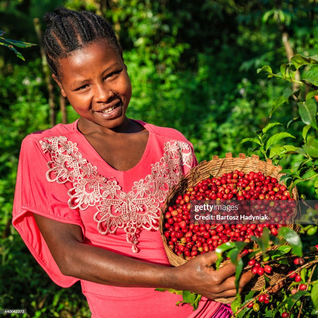 African woman holding basket full of coffee cherries, East Africa