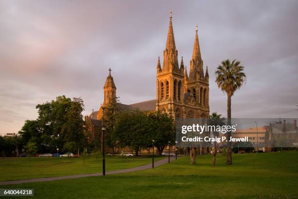 st peter's cathedral, adelaide at dusk - adelaide foto e immagini stock