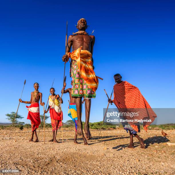 戦士のポーズから実行サンブール族のジャンプダンス伝統,kenya,africa - samburu �ストックフォトと画像