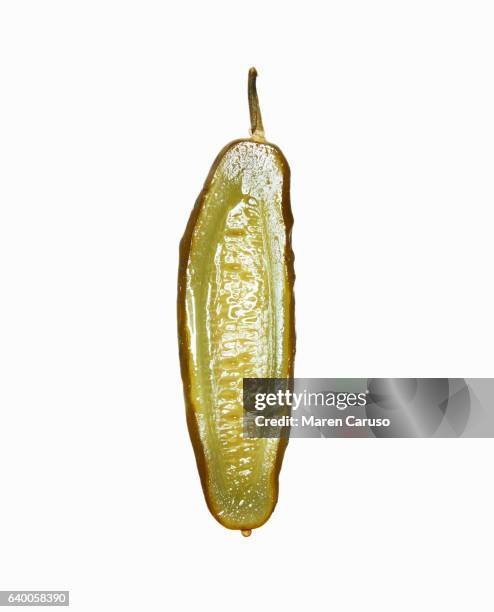 pickle cross section - san francisco medical center stock pictures, royalty-free photos & images
