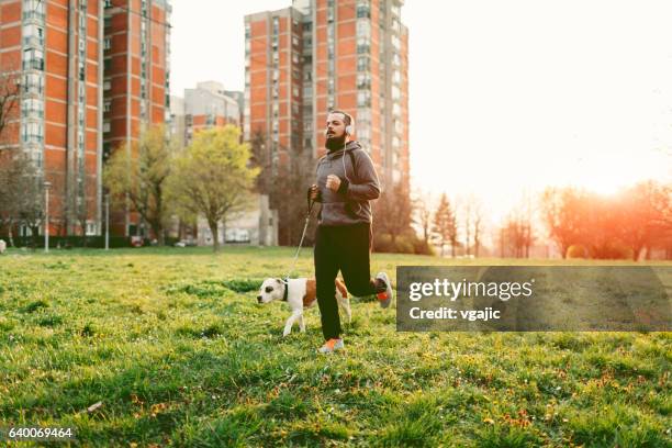 man jogging with his dog. - large grass area stock pictures, royalty-free photos & images