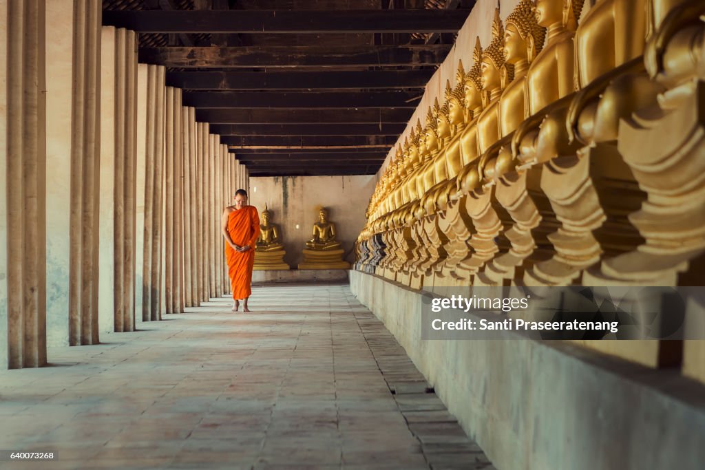 Monk walking meditation