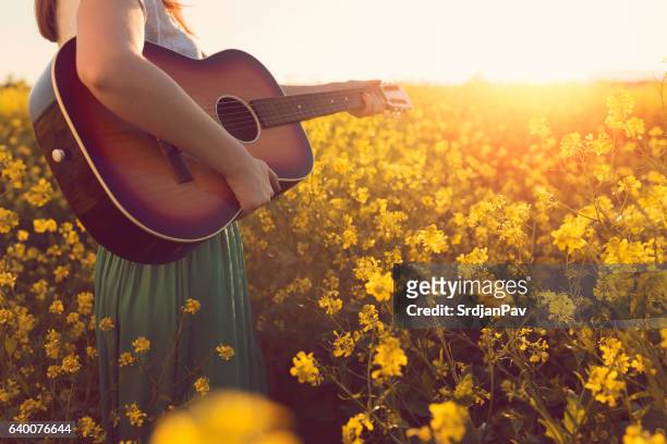 musica della magia estiva - acoustic guitar foto e immagini stock